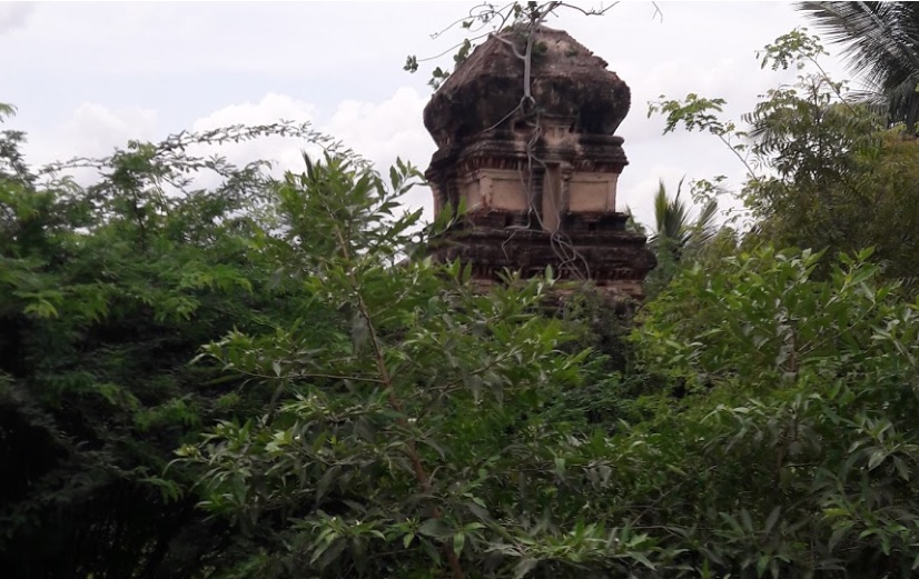 perumal-temple-covered-with-trees-google